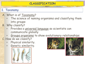 13ClassificationPPT04