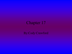 Chapter 17 - Damien Rutkoski