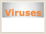 Virus - WordPress.com