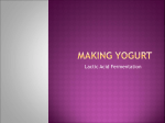 Making yogurt