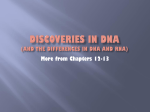 DNA and RNA