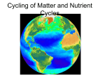 Cycling of Matter and Nutrient Cycles