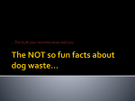 The NOT so fun facts about dog waste…