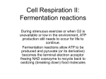Cell Respiration II: Fermentation reactions