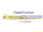 Classification of Or..