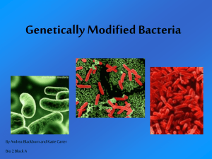 GM bacteria