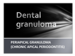 chronically inflamed granulation tissue