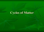 Cycles of Matter