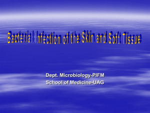 Bacterial Infection of the Skin and Soft Tissue