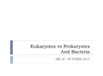 Eukaryotes vs Prokaryotes