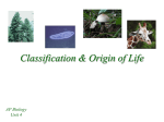 Classification & Origin of Life - mvhs