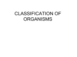 Classification Ch 3