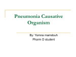 Pneumonia Causative Organism