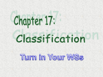 I. Classification