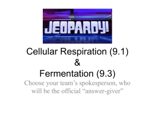 ch 9 cellular respiration - OG