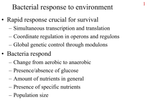 Bacterial response to environment