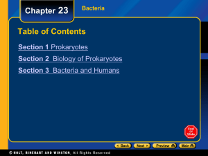 Section 1 Prokaryotes Chapter 23 Domain Bacteria