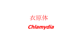 Chlamydia