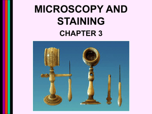 microscopy and staining