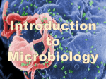 microbiology introduction