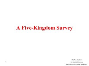 Five kingdoms