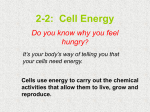 2-2: Cell Energy