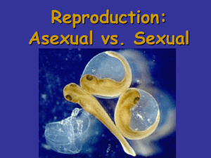Reproduction: Asexual vs. Sexual