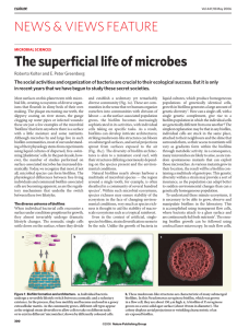 The superficial life of microbes NEWS &amp; VIEWS FEATURE