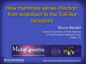 How mammals sense infection: from endotoxin to the Toll-like receptors Bruce Beutler