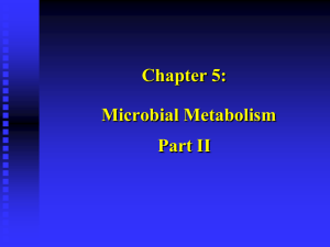 Chapter 5: Microbial Metabolism Part II