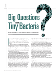 Tiny Bacteria Questions I Big
