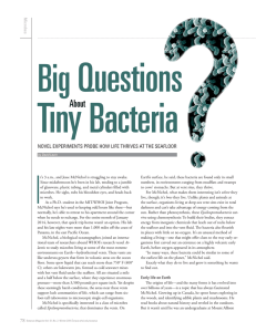 Tiny Bacteria Questions I Big