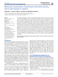 Molecular mechanism of protrusion formation during Listeria Keith Ireton Luciano A. Rigano