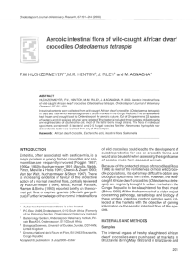 Aerobic intestinal flora of wild-caught African dwarf Osteo/aemus tetraspis F.W. J.