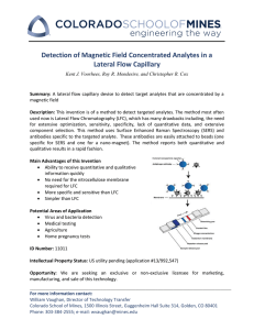Detection of Magnetic Field Concentrated Analytes in a Lateral Flow Capillary