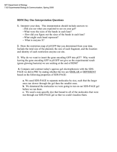 RDM Day One Interpretation Questions 1.