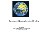 Biogeochemical Cycles - University of Washington