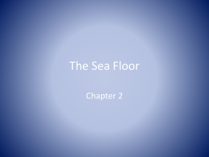 The Sea Floor