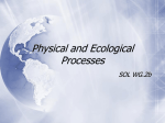Physical and Ecological Processes