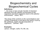 Biogeochemical Cycles - Willoughby