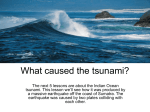 What caused the tsunami