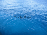 The Sea Floor