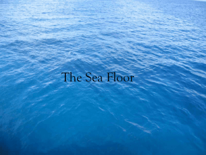 The Sea Floor