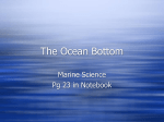 The Ocean Bottom