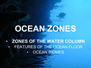 ocean zones - Somerset Academy