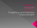 Section 4: Forgetting and Memory Improvement