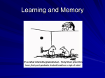 The Truth About Learning and Memory
