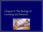 Biological Psychology CH 9