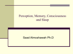 Perception, Memory, Consciousness and Sleep