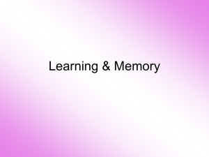 Learning & Memory